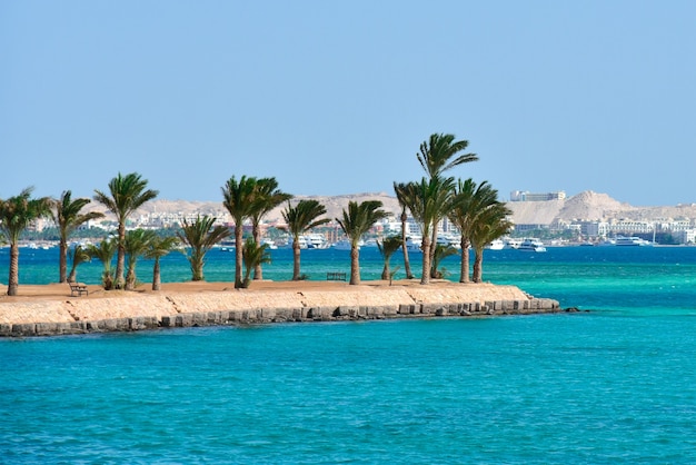 Eiland met palmbomen aan de Rode Zee in Egypte.