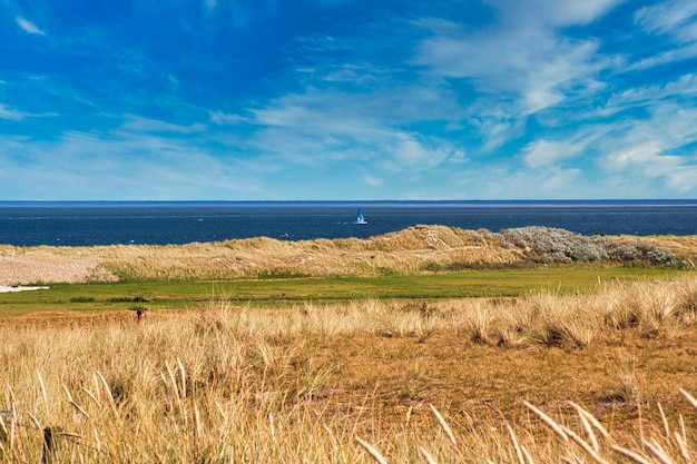 Foto eiland texel - nederland