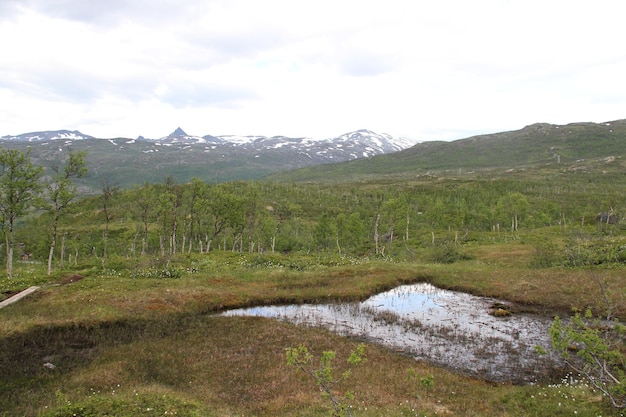 Eilanden Kvaloya en Senja Noorwegen