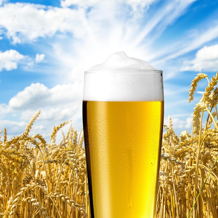 Foto ein bier (pils) im willibecher mit konstropfen in einem kornfeld. erstellt im studio met einer 5d mark iii.