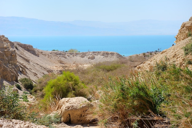 Ein gedi nature reserve