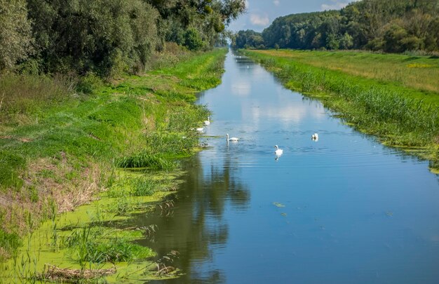 Einserkanal near Bridge at Andau