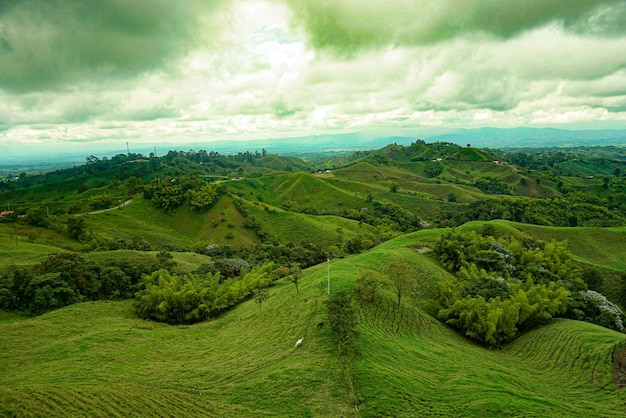 eje cafetero Колумбия quindio