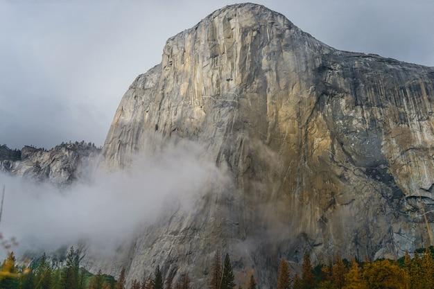 El capitan meadow met lang geel gras