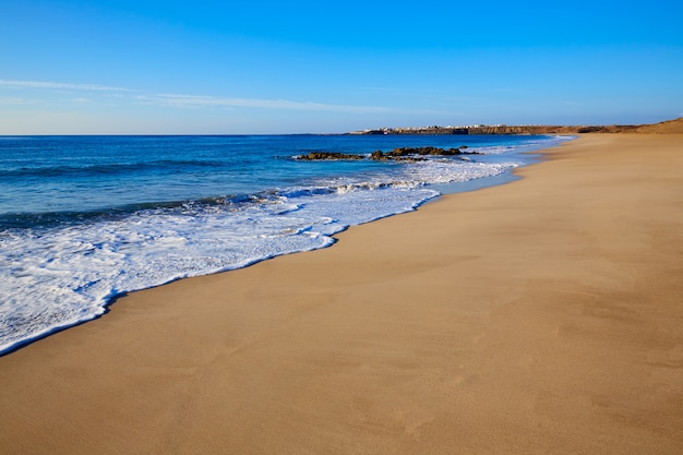 エルコティロビーチフェルテベントゥラ島カナリア諸島