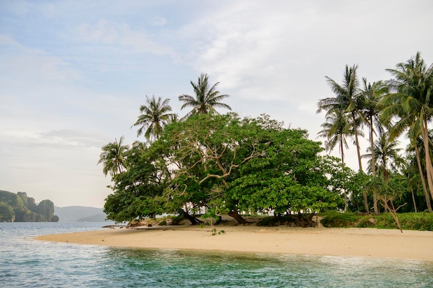 Pinagbuyutan 島のエルニド、カルストの風景、崖。パラワン、冒険旅行