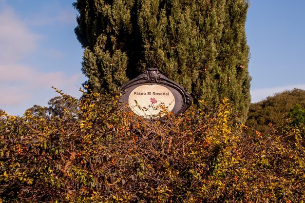 Foto el rosedal park in buenos aires, argentinië