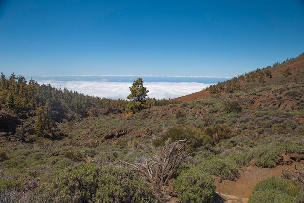 El Teide National Park