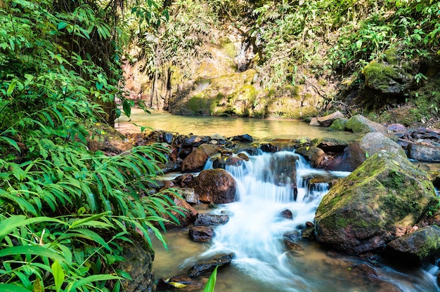 El Tirol waterval in het hoge regenwoud van Chanchamayo in Junin, Peru