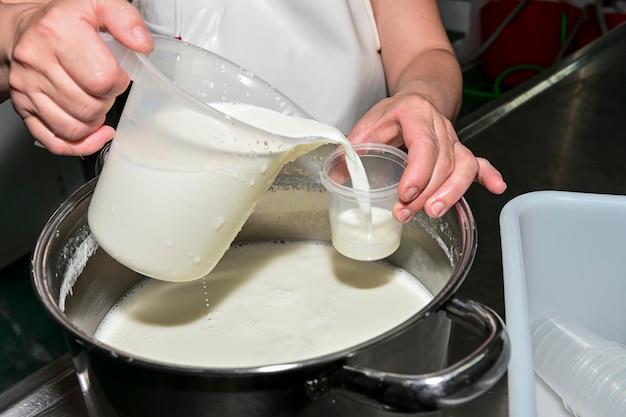 Elaborazione di yogurt naturale con latte di capra