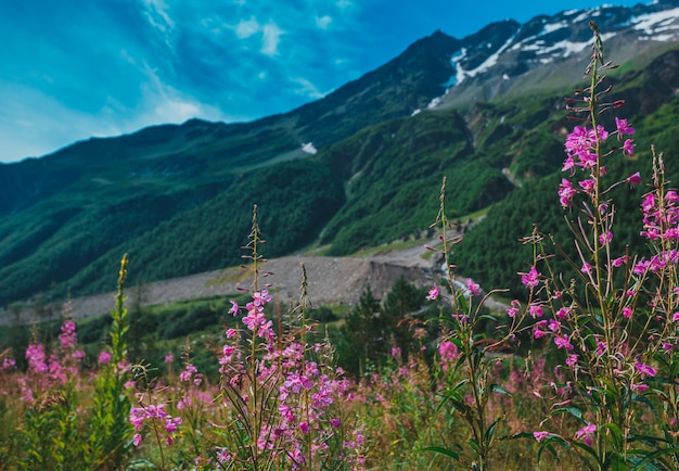 Elbrus, bergen in de zomer. Grotere bergen van de Kaukasus vanaf de berg Elbrus