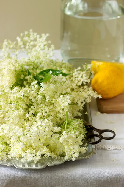 Elder flowers, water, lemon and sugar, ingredients for making elder syrup. Rustic style.