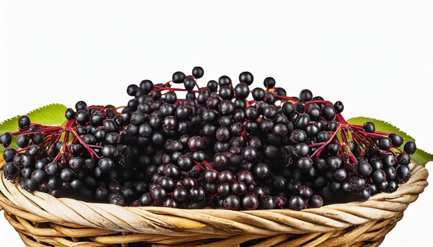 Elderberries in basket white background