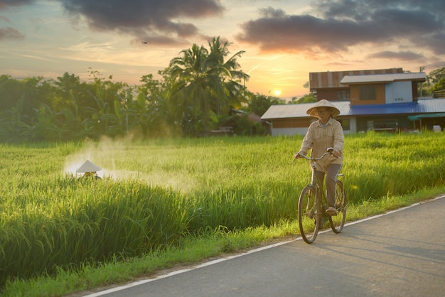 Elderly Asian farmer riding bike