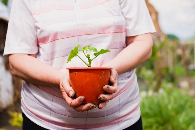 明るい服を着た年配の白人女性が彼女の前に茶色の植木鉢を持っています