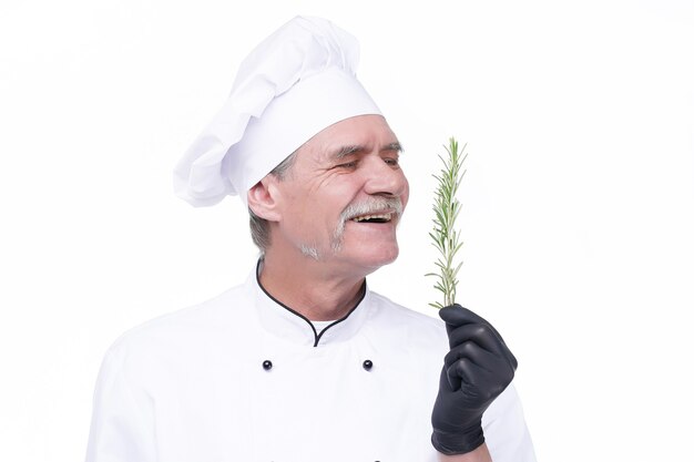 Photo elderly chef male holds rosemary