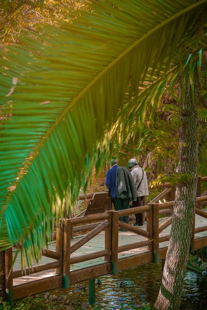 スペイン・マドリードのレティーロ公園で橋の上を眺める老夫婦
