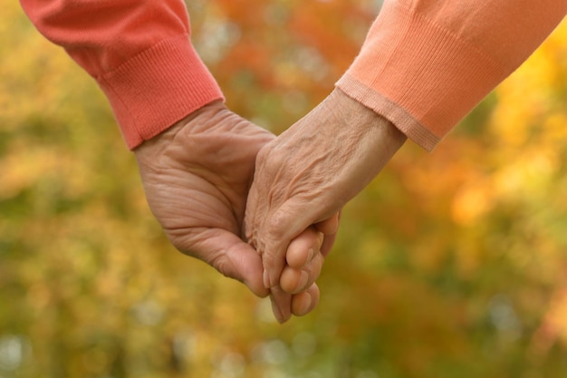 Elderly couple holding hands in autumn park