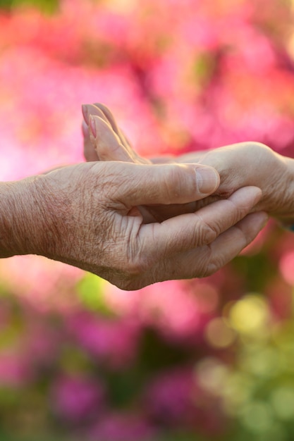 Elderly couple holding hands in autumn park