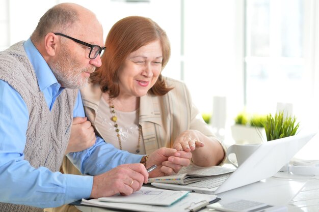 Elderly couple with a laptop