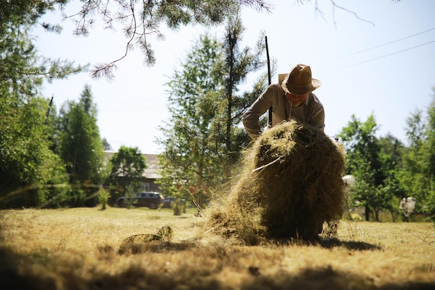 An elderly farmer cleans up the cut hay A grayhaired man mows the grass in the meadow