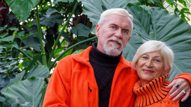 Elderly grayhaired optimistic couple