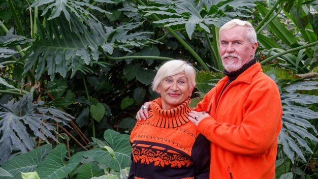 Elderly grayhaired optimistic couple