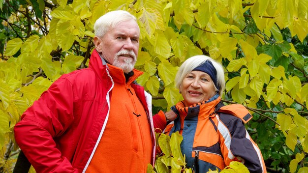 Elderly grayhaired optimistic couple