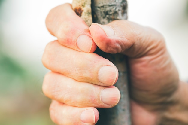 Elderly hand holding a stick in the foreground