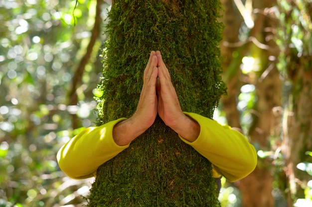 Foto uomo anziano che si nasconde abbracciando un tronco d'albero coperto di muschio nei boschi con mani in preghiera concetto di salvare la giornata della terra la gente ha bisogno di proteggere il pianeta dalla deforestazione