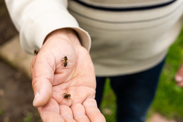 an elderly man holding a bee.