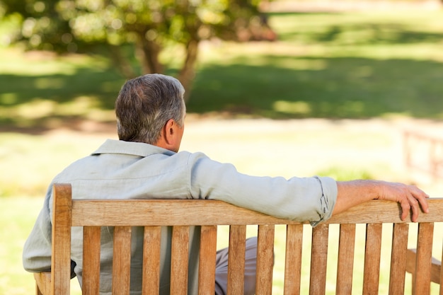 Elderly man sitting on the bench with his back to the camera