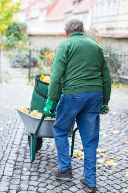 Elderly man with autumn leaves in wheelbarrow autumn time