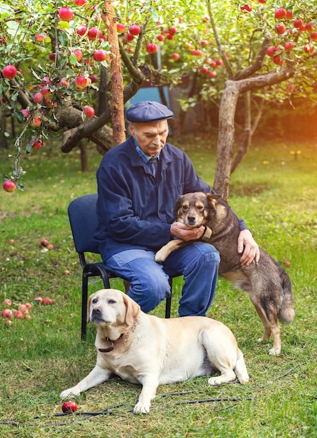 An elderly man with two dogs sitting in the garden