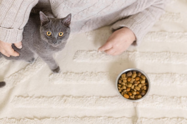 Elderly people take care of cats and enjoy them at home