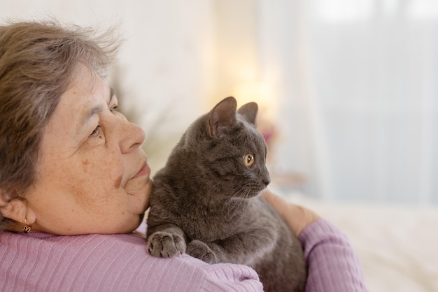 高齢者が猫の世話をして家で楽しむ