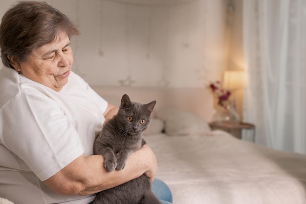 Elderly people take care of cats and enjoy them at home