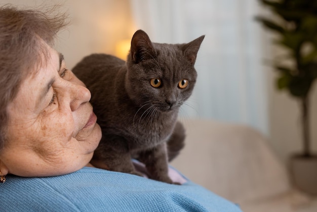 Elderly people take care of cats and enjoy them at home