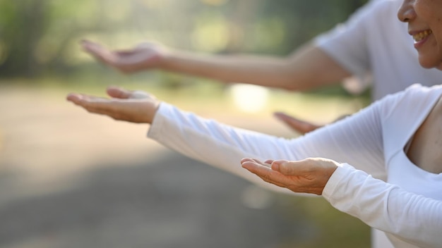 Foto anziani che praticano il tai chi nel parco estivo concetto di salute mentale e benessere