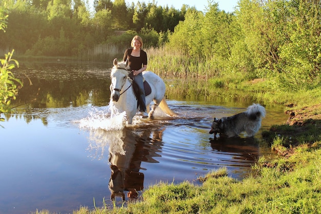 Elderly woman on a white horse in a pond enjoying a beautiful day-Concept of love between people and animals-Horse is a noble animal