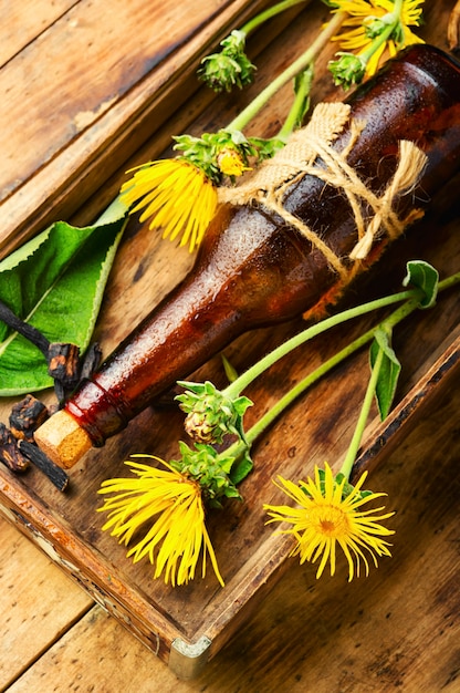 Elecampane root tincture