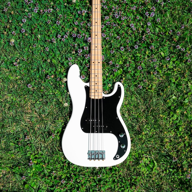 Electric Bass in The Grass