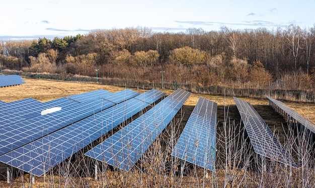 Электрическая ферма с панелями для производства чистой экологической энергии