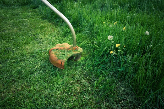 草が生い茂った芝生の上で草を刈る電気草刈り機、夏の庭の仕事