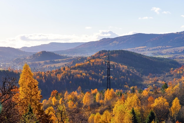 Palo elettrico nella foresta di montagna autunnale