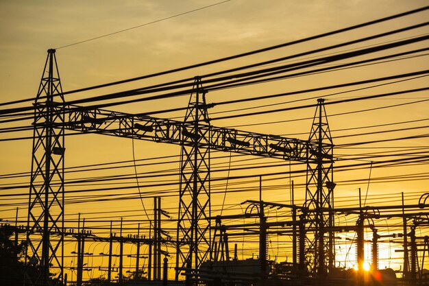 The electric pole and growing around power lines with clear sun light orange sky