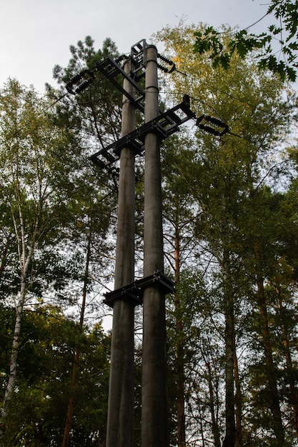 Electric pole with wires against the background of trees and sky