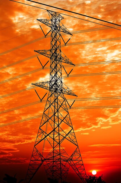 Electric poles against the backdrop of the evening sun.