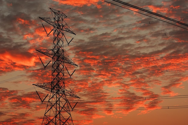 Electric poles against the backdrop of the evening sun.