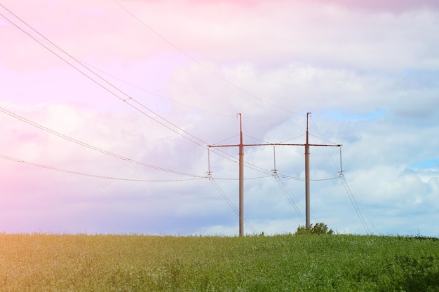 Electric power lines among summer green field